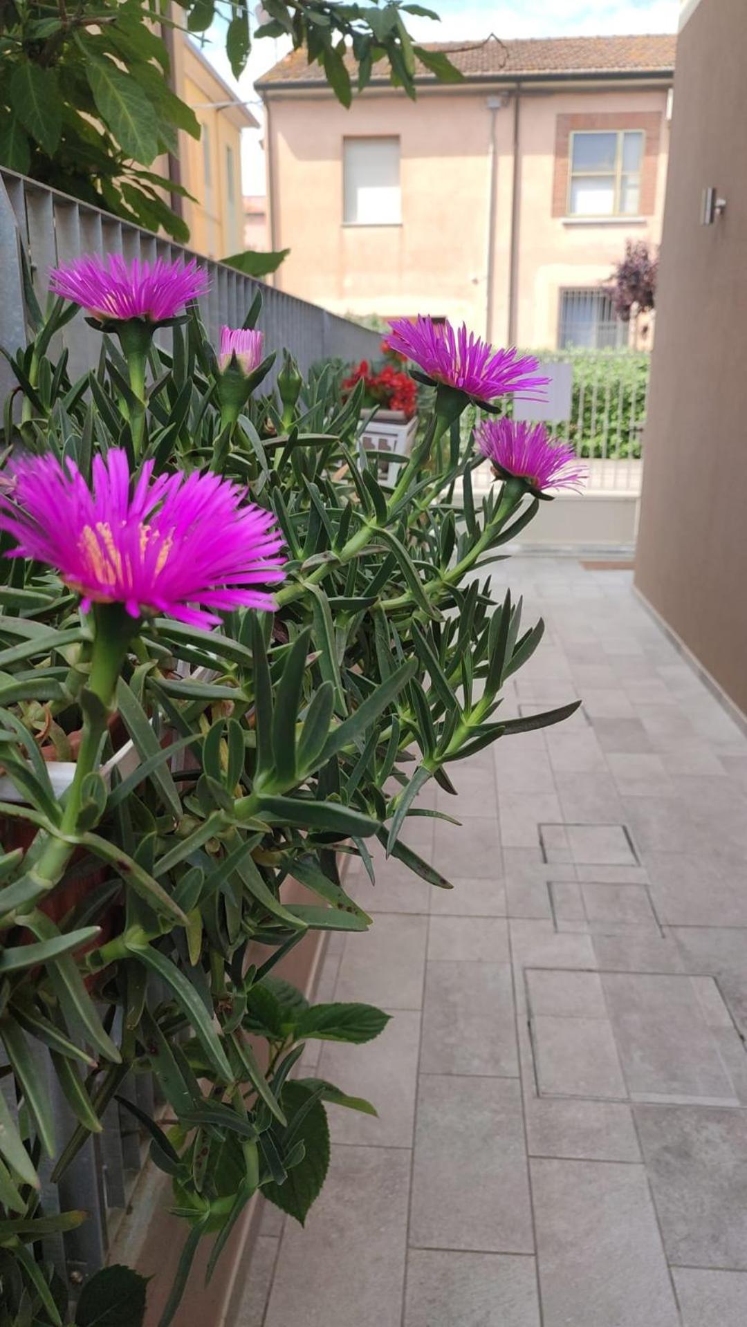 Darsena B&B Tra Arte E Mare ราเวนนา ภายนอก รูปภาพ